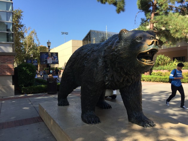 미국 로스앤젤레스 캘리포니아대(UCLA) 스포츠팀의 상징인 곰(Bruins) 동상. - 로스앤젤레스=이현경 기자 uneasy75@donga.com 제공